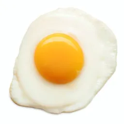 GALINHEIRO reserva 🍳