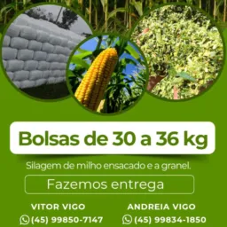 Venda de Silagem Compra e Venda de Bovinos Ovinos Máquinas Agrícolas Veículos