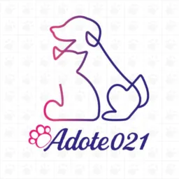 Bazar Adote021 82ª Edição 21/05 às 19h