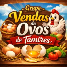 Grupo vendas de ovos da Tamires