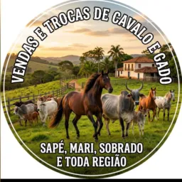 Vendas de gado e cavalo