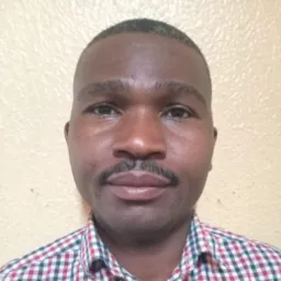 GEZA VP  Chiwhenga and Chamisa Unity Government