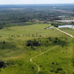 Pecuarista madeireiros garimpeiros