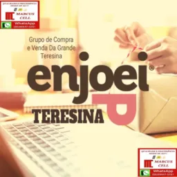 ENJOEI TO VENDENDO TERESINA