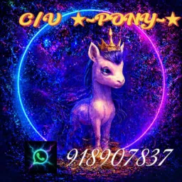 C/V †PONY†