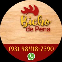 Bicho de Pena 🐔