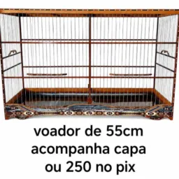 RIFA DE UM VOADOR 55CM (MOTELZINHO) OU 250 NO PIX rifa de número 04