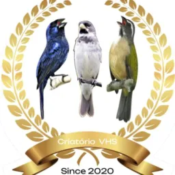 🦅Feira de Acari = Zona Norte🦅