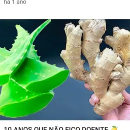 Remédio medicinal e receita de comida