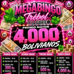 🍀Mega Bingo🍀🥳Fulls🥳🍀VENDEDORA AUTORISADA PAULITA (LOS BINGEROS)🥳💸