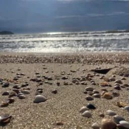 Vendas vila Ayrosa e região