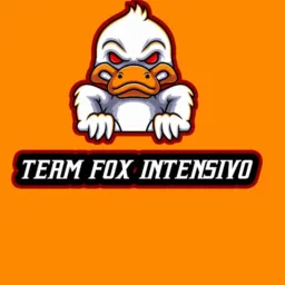 TEAM FOX INTENSIVO