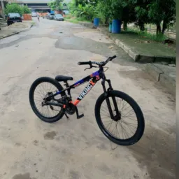 Rolo bxd