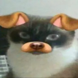 estética'