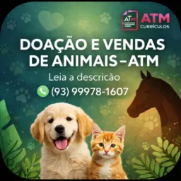 15. DOAÇÃOS DE ANIMAIS - ALTAMIRA 🐰🐭🐱🐔