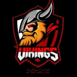 XTREINO VIKINGS