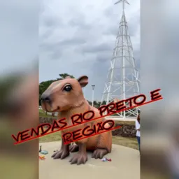Vendas ( do doações um ato de amor)