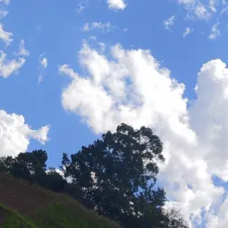 Bora vender ? Ubá e região
