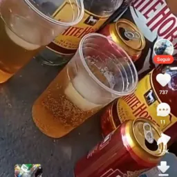 Grupo da zoeira
