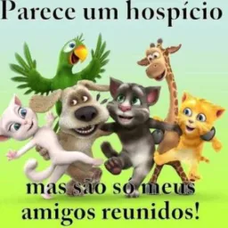 😍 bagunça organizada 😍🌻
