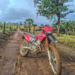 Só motos/Anari