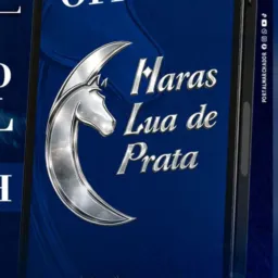 TUDO SOBRE O LEILÃO 25 anos LUA DE PRATA !