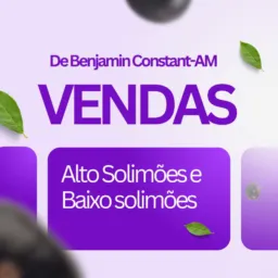 BC para alt. Solimões
