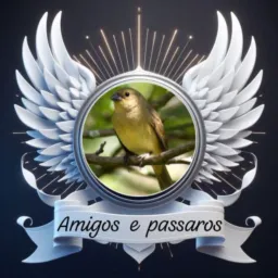 Pássaro e amigos