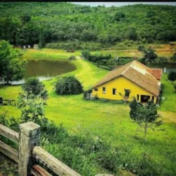 🌳EU SOU DA ROÇA 🌳🌽🍍🐄🐴🐕🦺🐜🌱🌴🐓🌲🍀☘