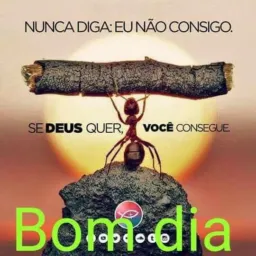 Vender tudo aruja itaqua Guarulhos suzano