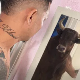 Os amigos do bem