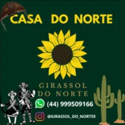 Casa do Norte 🌻Girassol do Nordeste 🌻