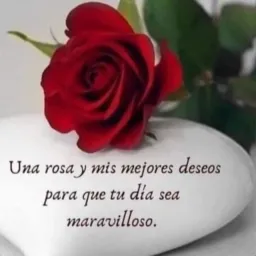 ❤️GENTE ❤️ENCANTADORA❤️😂😘😂🌈👒😛💐