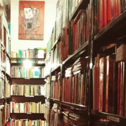 Sebo, só livros