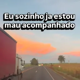 Bora 🤪