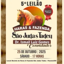 4 - 5° Leilão Quarter Horse Haras & Fazenda São Judas Tadeu