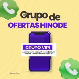 GRUPO VIP HINODE