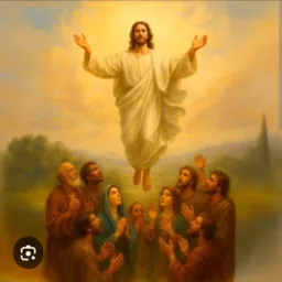 Santo do dia, notícias do Vaticano e CNBB