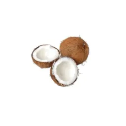ㅤ ㅤ ⏜͡︵ 🐋 ondɑ dᧉ multirɑo ᗝᗝ