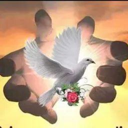 😇 EVANGELIZAR;💒 Orações  e Evangelizem da palavra de Deus🕊️ Alma a Deus