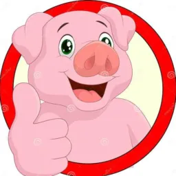 🍀💰🐷 *PORCO OU PIX* 🐷💰 🍀