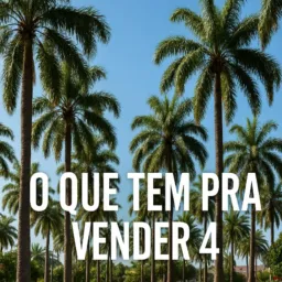 O QUE TEM PRA VENDER 4