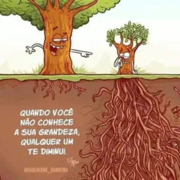 COMPRAR E VENDER de PRAINHA e REGIÃO