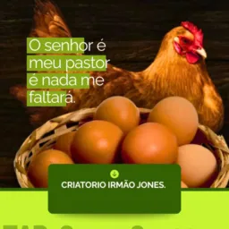 Vendas e troca de aves