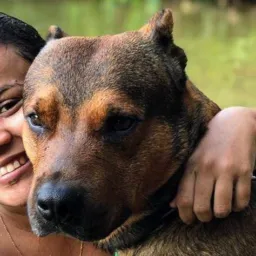🐕Filhotes Balsas-MA