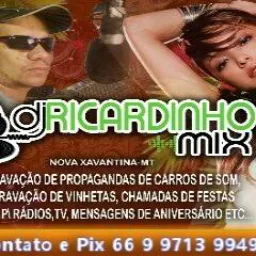 PROPAGANDAS RICARDINHOMIX