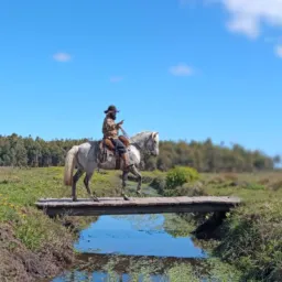 Videos Corrêa Caborteiro1