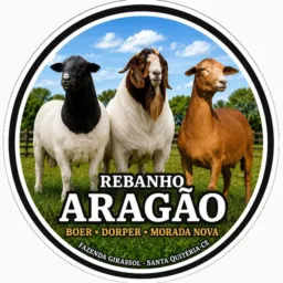 REBANHO ARAGÃO.