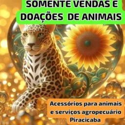 VENDAS E DOAÇÕES DE ANIMAIS PIRA😻