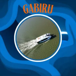 GABIRU